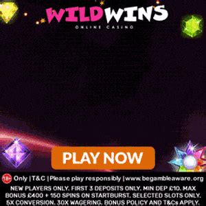 Wild wins casino aplicação